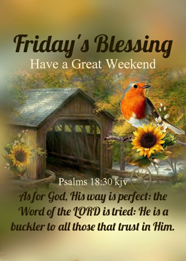 Feel Blessed With These 10 Friday Quotes To Start The Weekend! - picture 7