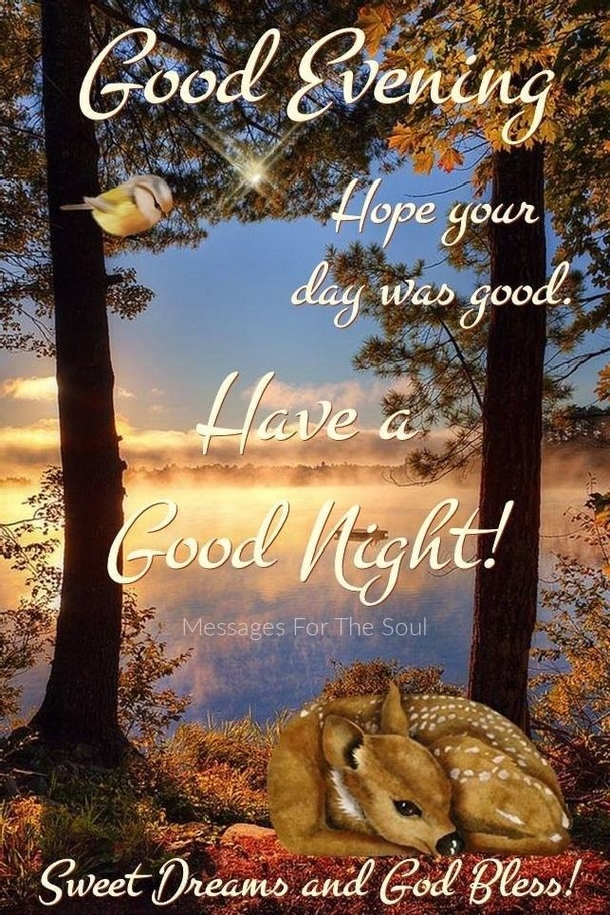 Feel Peaceful Tonight With These 10 Inspiring Good Night Quotes - picture 11