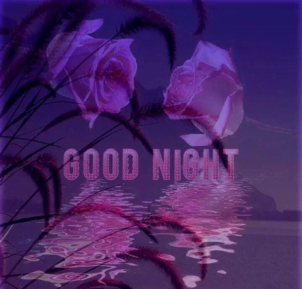 Feel Peaceful Tonight With These 10 Inspiring Good Night Quotes - picture 6