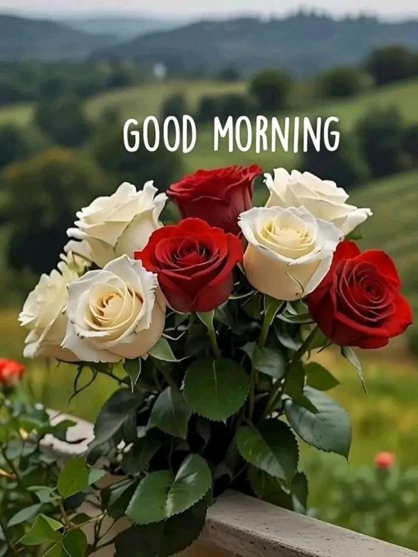 Feel the Love: 10 Cute Good Morning Quotes to Make Your Day Better - picture 15