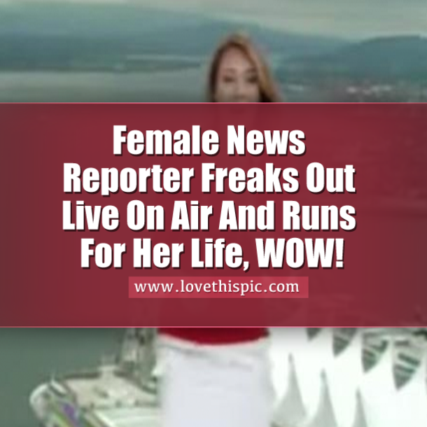 Female News Reporter Freaks Out Live On Air And Runs For Her Life, WOW!