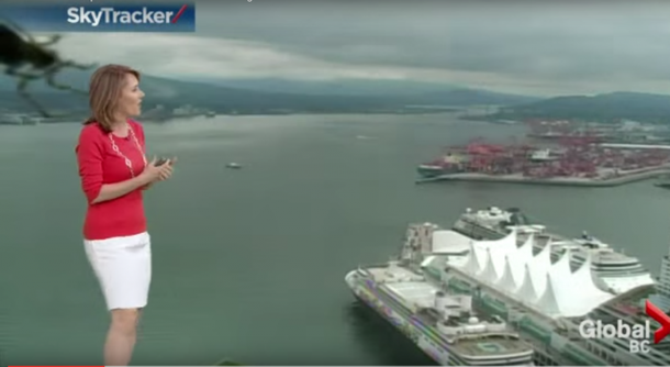 Female News Reporter Freaks Out Live On Air And Runs For Her Life, WOW! - picture 3
