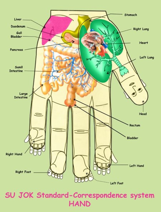 Fingers Say Alot About Your Health, Find Out How! - picture 2