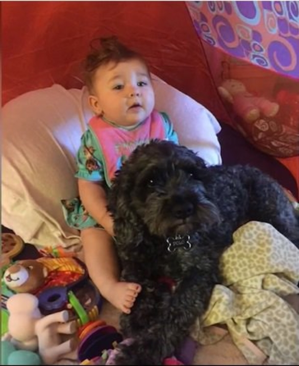 Fire Traps Baby, Firefighters SHOCKED When They Stop To See What’s On Her - picture 4
