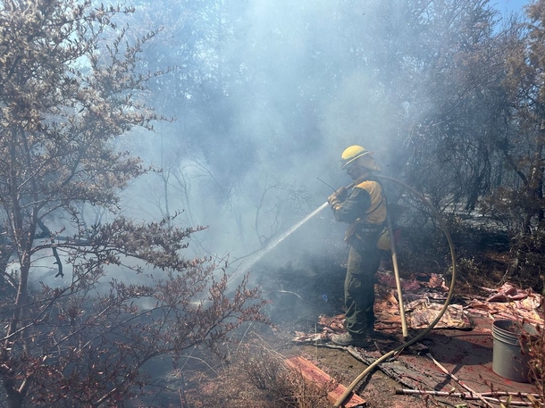 Firefighters discovers lost dog while battling wildfire, helps reunite her with family - picture 2