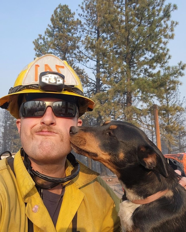 Firefighters discovers lost dog while battling wildfire, helps reunite her with family - picture 3
