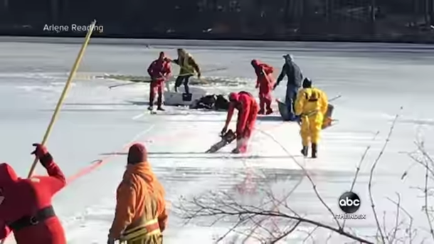Firefighters race to save two Clydesdale horses after they fall through ice - picture 3