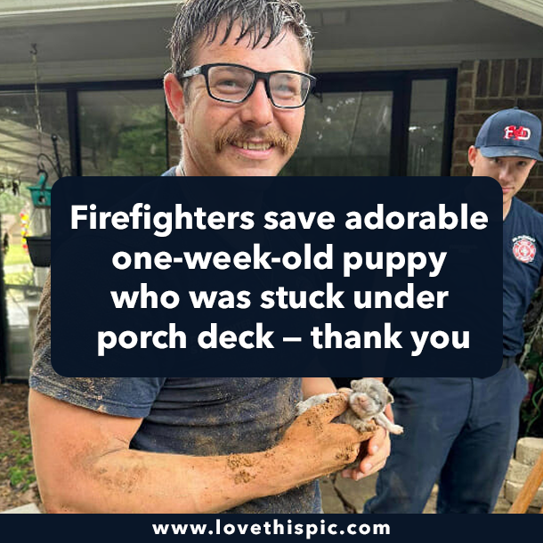 Firefighters save adorable one-week-old puppy who was stuck under porch deck — thank you