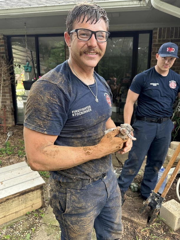 Firefighters save adorable one-week-old puppy who was stuck under porch deck — thank you - picture 3
