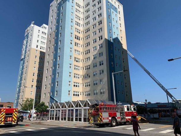 Firefighters save husky dog from 15th floor of high-rise fire: ‘That’s why I became a firefighter’ - picture 2