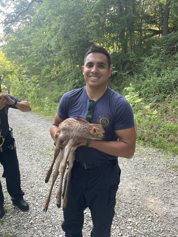Firefighters save small drowning baby deer from lake — they are heroes! - picture 2