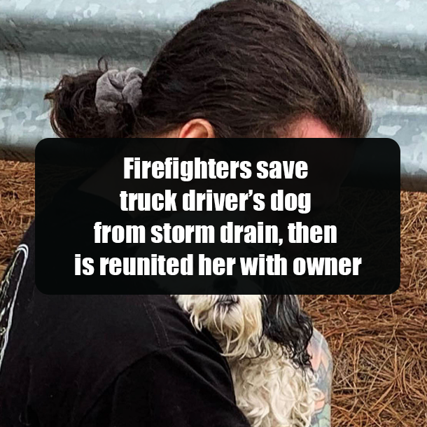 Firefighters save truck driver’s dog from storm drain, then is reunited her with owner