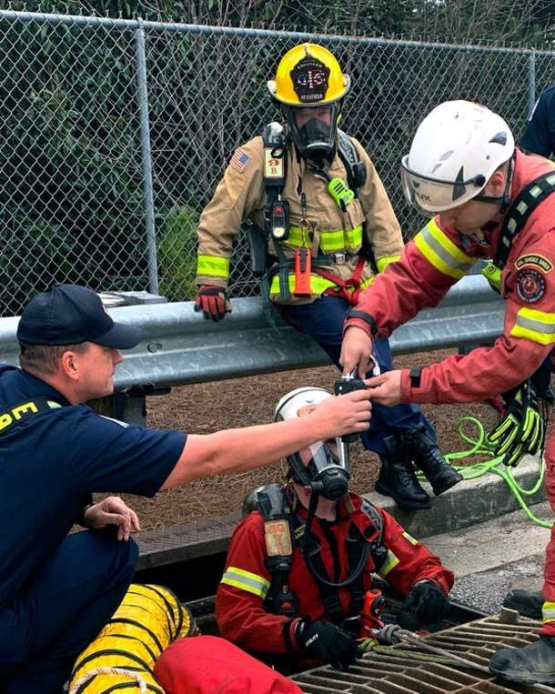 Firefighters save truck driver’s dog from storm drain, then is reunited her with owner - picture 2