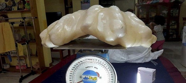 Fisherman Finds Out His Good Luck Charm Is Worth $100M - picture 2