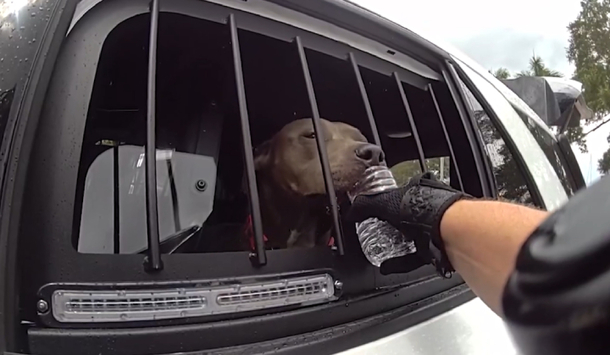 Florida Cop Rescues Dog Trapped In Hot Car - picture 2