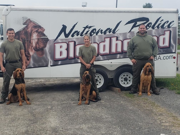 Florida’s governor signs bill that will allow first responders to help treat and transport injured police K9s - picture 3