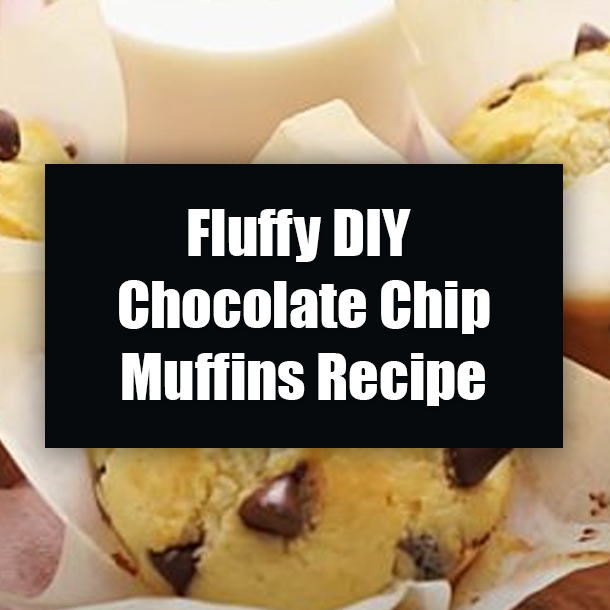 Fluffy DIY Chocolate Chip Muffins Recipe