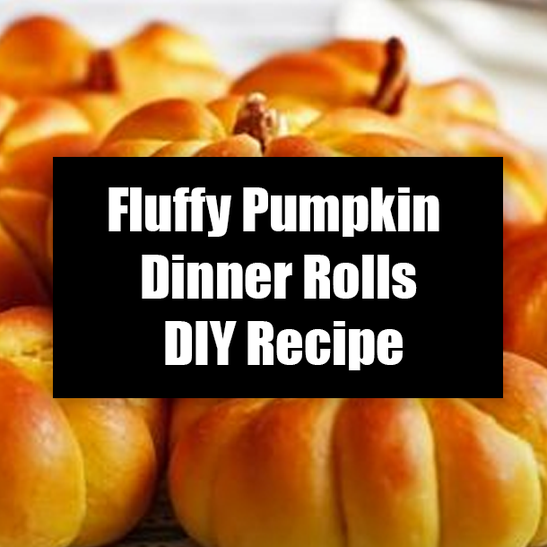 Fluffy Pumpkin Dinner Rolls DIY Recipe