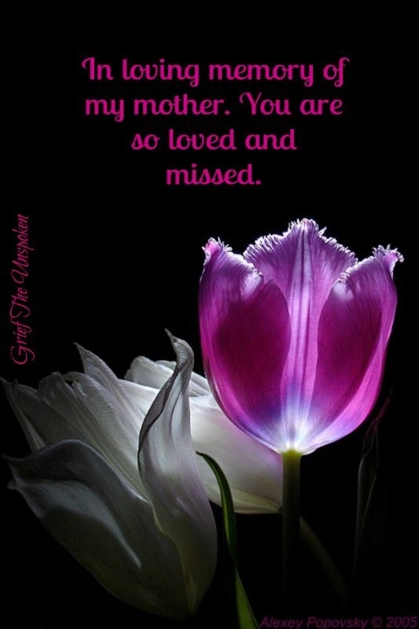 Forever in Our Hearts: 50 Beautiful Quotes to Honor Moms in Heaven - picture 6