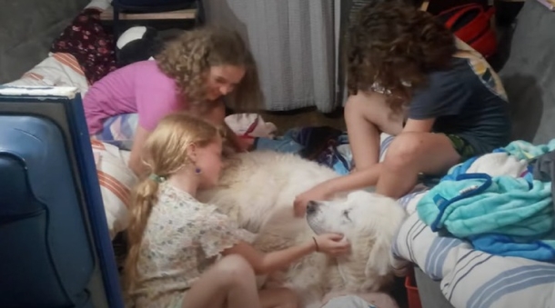 Foster Dog Alerts Sleeping Family Of 5 From Houseboat Fire, He's A Hero! - picture 3