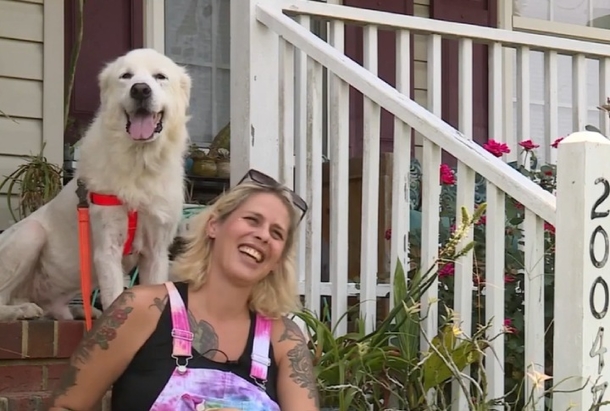 Foster Dog Alerts Sleeping Family Of 5 From Houseboat Fire, He's A Hero! - picture 4