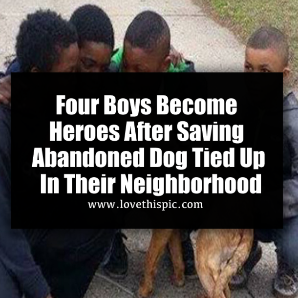 Four Boys Become Heroes After Saving Abandoned Dog Tied Up In Their Neighborhood