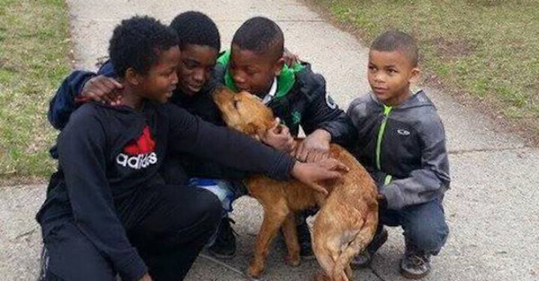 Four Boys Become Heroes After Saving Abandoned Dog Tied Up In Their Neighborhood - picture 2