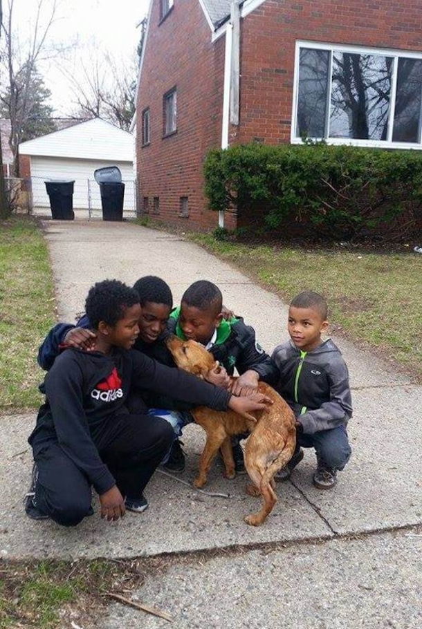 Four Boys Become Heroes After Saving Abandoned Dog Tied Up In Their Neighborhood - picture 3