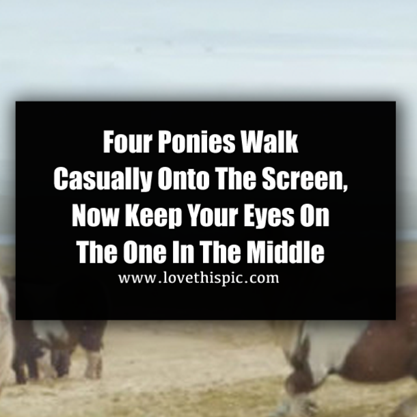 Four Ponies Walk Casually Onto The Screen, Now Keep Your Eyes On The One In The Middle