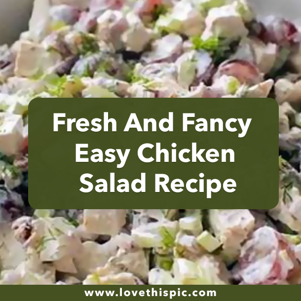 Fresh And Fancy Easy Chicken Salad Recipe