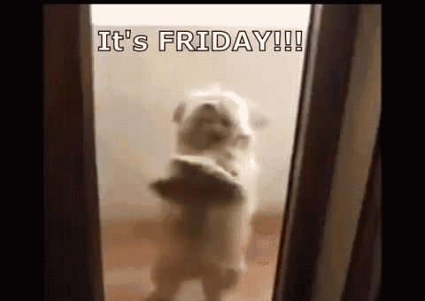 Friday Gifs That Will Make You Super Happy That It's Friday - picture 10