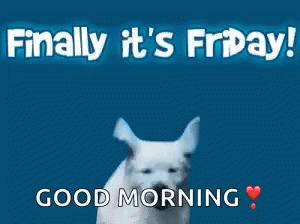 Friday Gifs That Will Make You Super Happy That It's Friday - picture 5