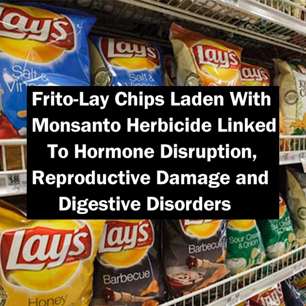 Frito-Lay Chips Loaded With Monsanto Herbicide Linked To Hormone Disruption, Reproductive Damage and Digestive Disorders