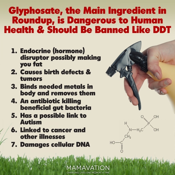 Frito-Lay Chips Loaded With Monsanto Herbicide Linked To Hormone Disruption, Reproductive Damage and Digestive Disorders - picture 2