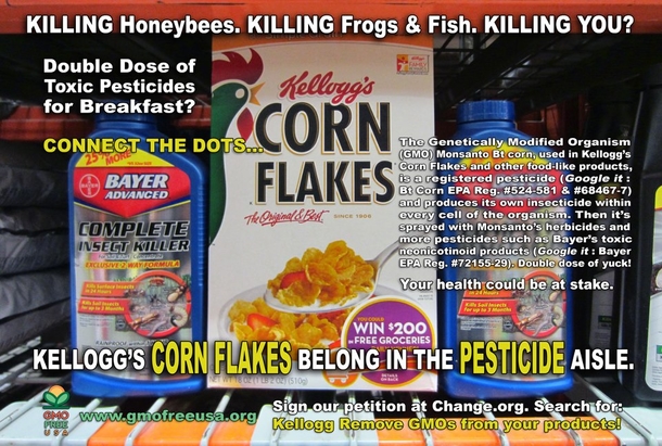 Frito-Lay Chips Loaded With Monsanto Herbicide Linked To Hormone Disruption, Reproductive Damage and Digestive Disorders - picture 3