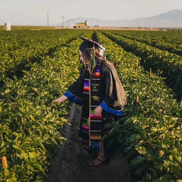 From laborer to college graduate: student gives honor tribute to her parents with inspiring photos - picture 5