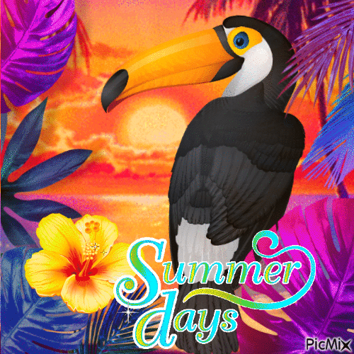 Fun Animated Hello Summer Quotes For 2022 - picture 6