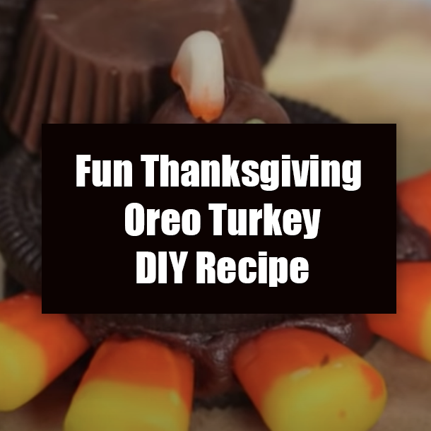 Fun Thanksgiving Oreo Turkey DIY Recipe
