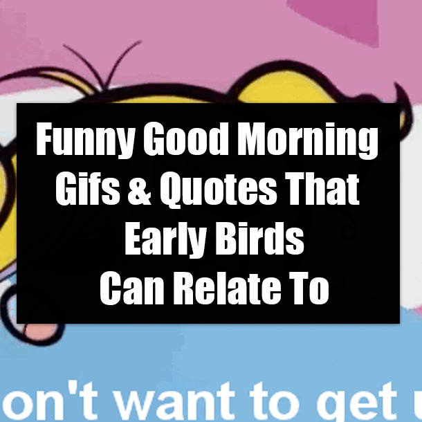 Funny Good Morning Gifs For The Early Birds