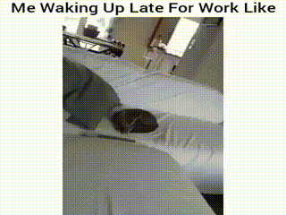Funny Good Morning Gifs For The Early Birds - picture 10