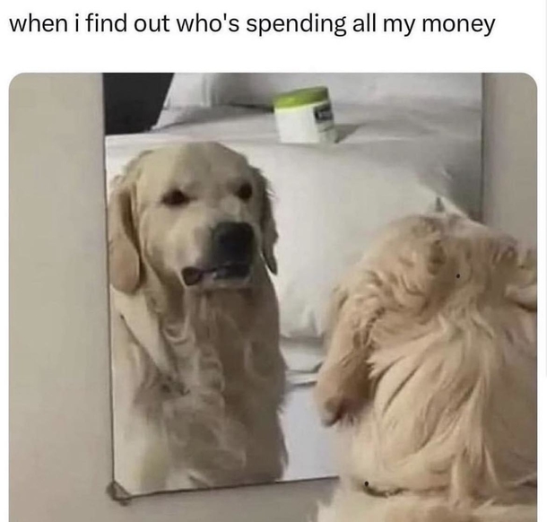 Funny Memes In 2023 That'll Brighten a Girl's Day - picture 12