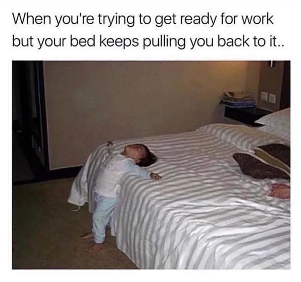 Funny Memes In 2023 That'll Brighten a Girl's Day - picture 5