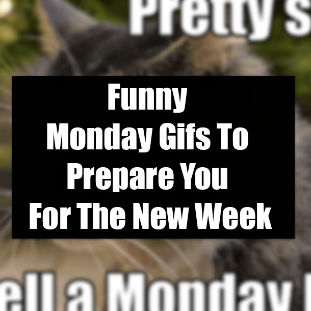 Funny Monday Gifs To Prepare You For The New Week