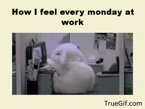 Funny Monday Gifs To Prepare You For The New Week - picture 11
