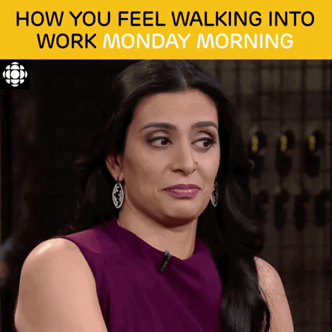 Funny Monday Gifs To Prepare You For The New Week - picture 3
