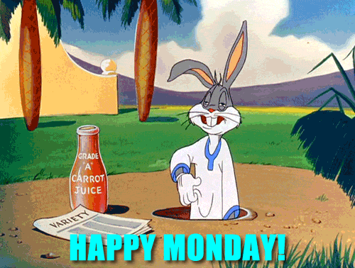 Funny Monday Gifs To Prepare You For The New Week - picture 5