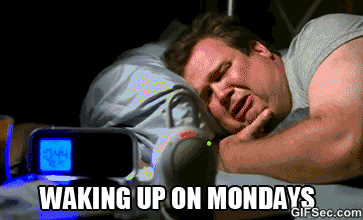 Funny Monday Gifs To Prepare You For The New Week - picture 7