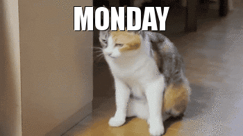 Funny Monday Gifs To Prepare You For The New Week - picture 9