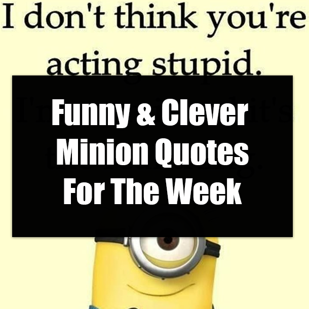 Funny & Clever Minion Quotes For The Week