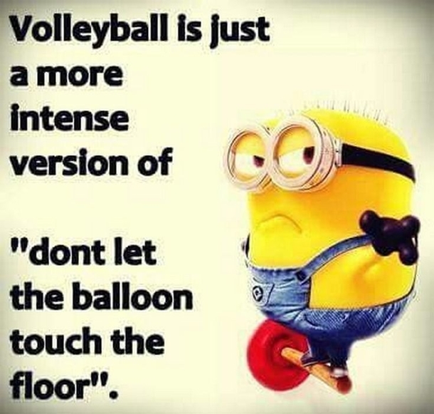 Funny & Clever Minion Quotes For The Week - picture 10